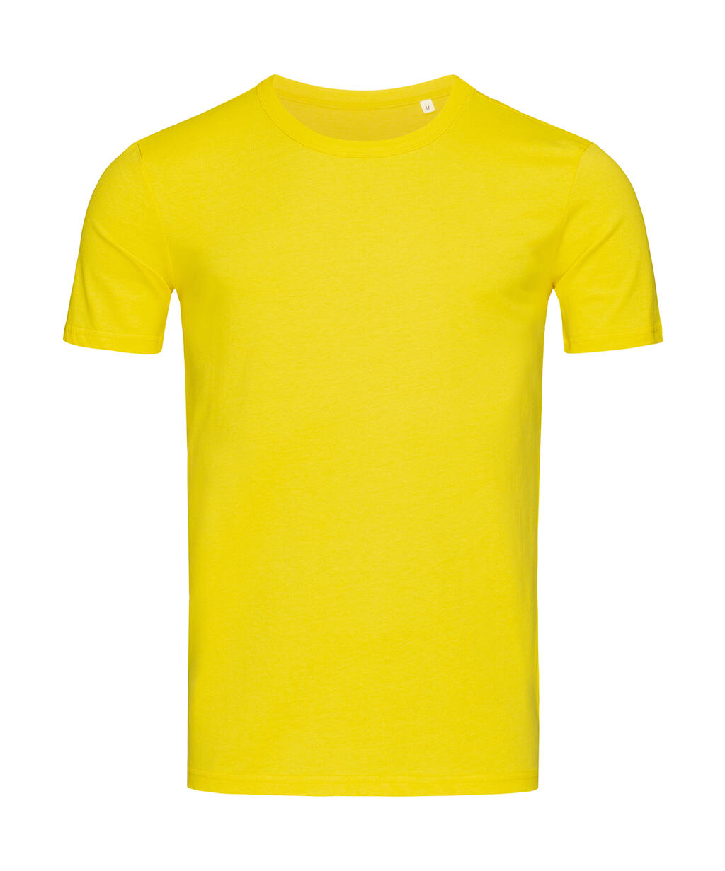 Morgan Crew Neck in Farbe Daisy Yellow