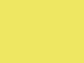 Safety Vest Passau VISITOR/SECURITY - ShirtStore