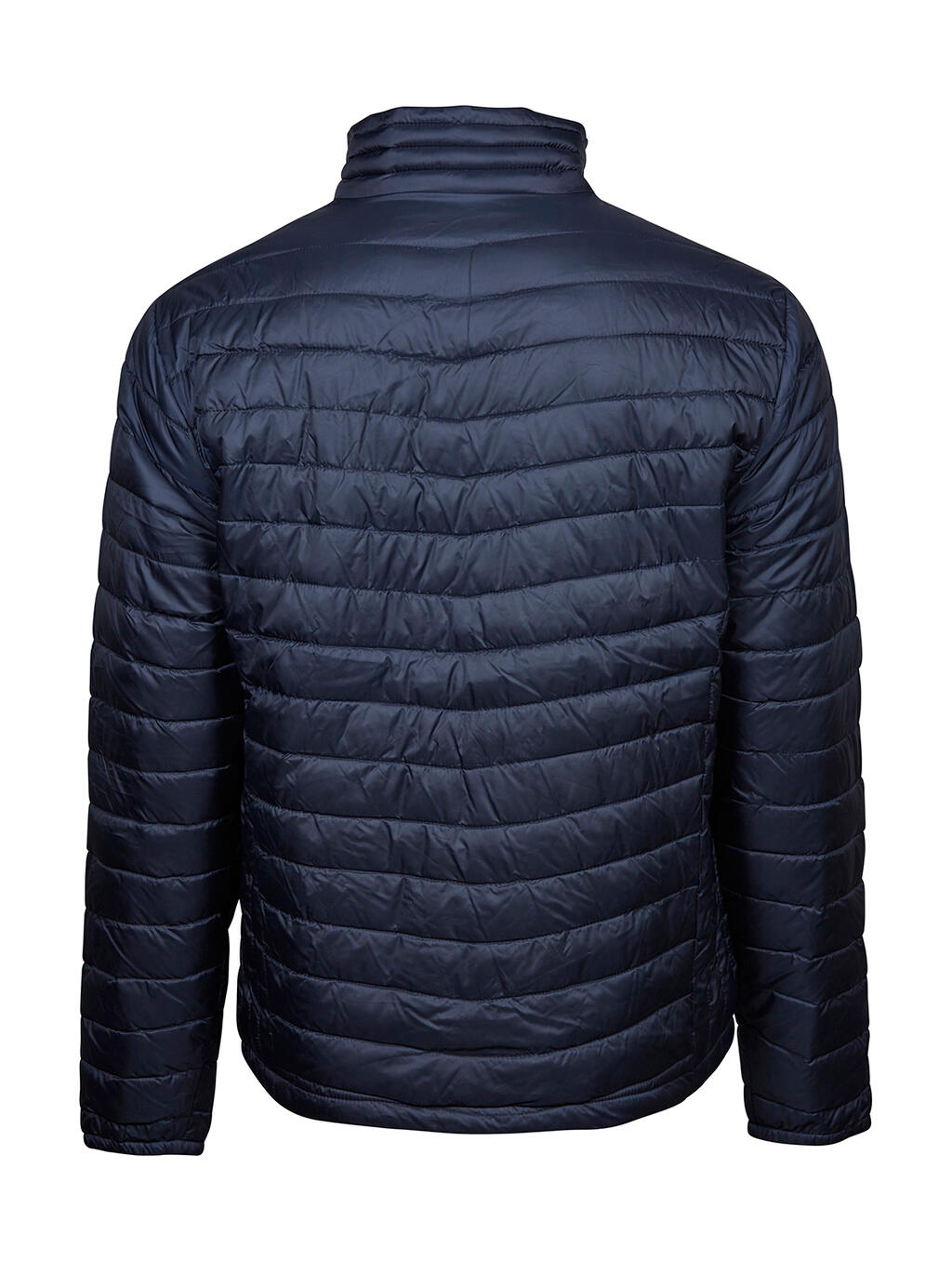 Zepelin Jacket in Farbe Black
