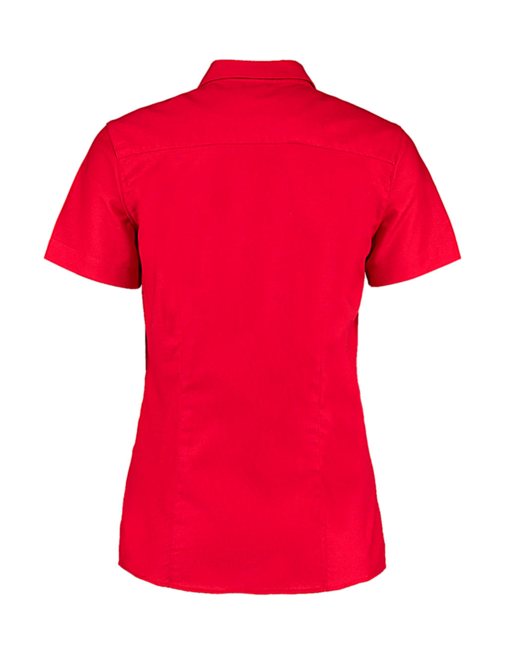 Women's Tailored Fit Workwear Oxford Shirt SSL in Farbe White