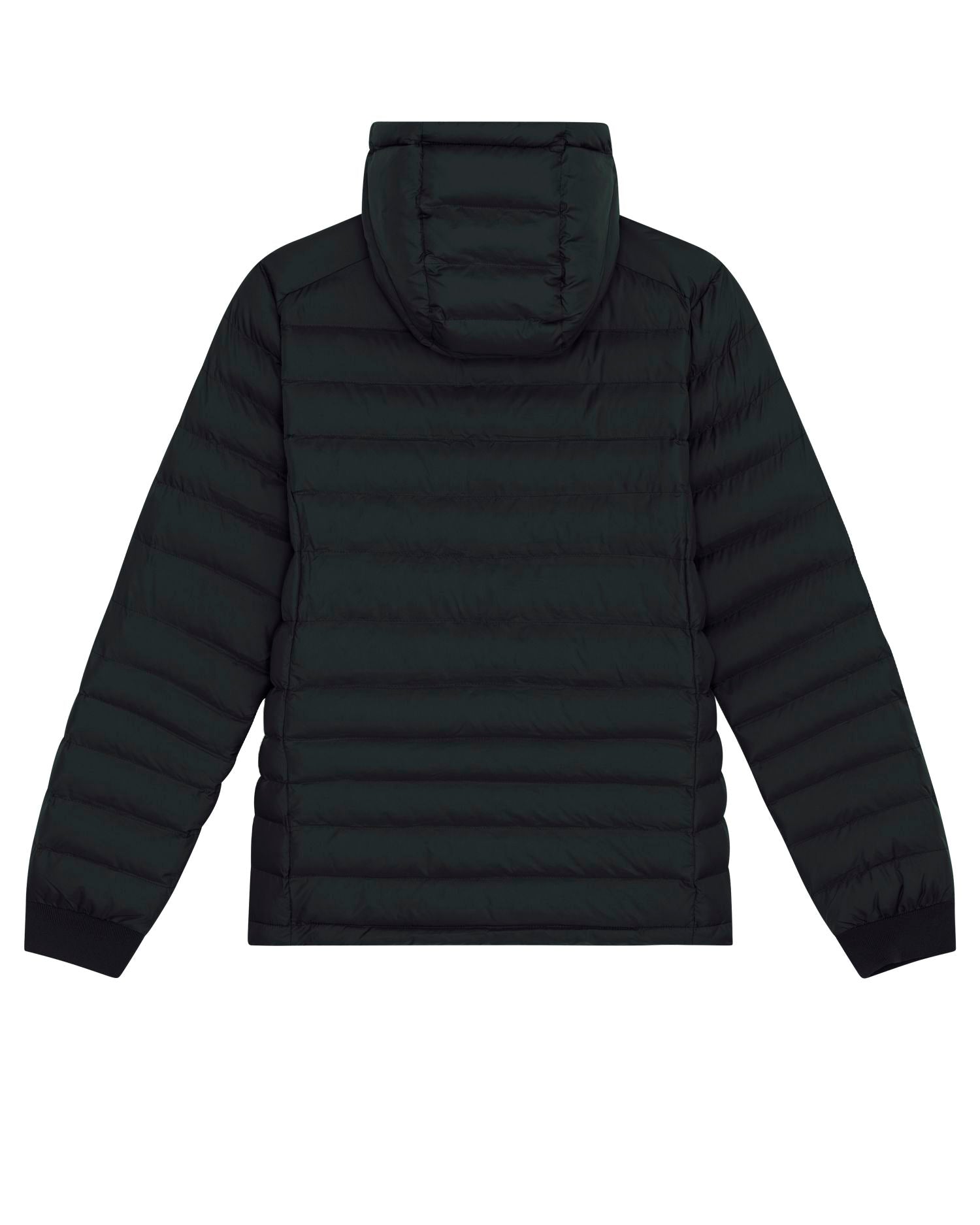 Wattierte Jacke Stella Voyager in Farbe Black